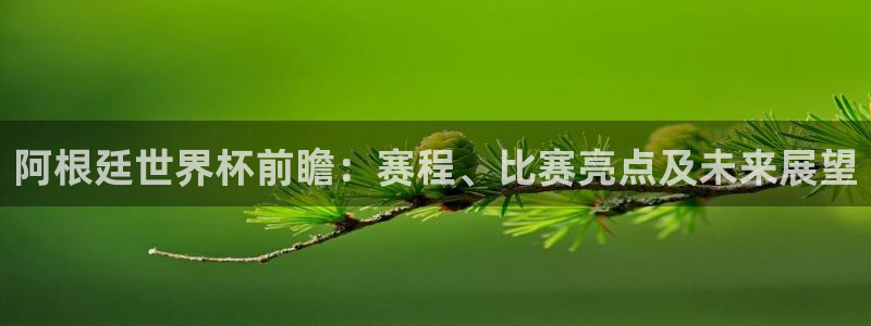 今年的世界杯:阿根廷世界杯前瞻:赛程、比赛亮点及未来展望