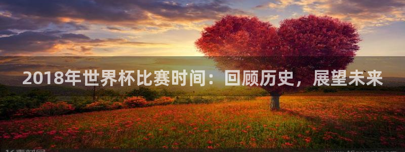 世界杯预选赛规则:2018年世界杯比赛时间:回顾历史,展望未来