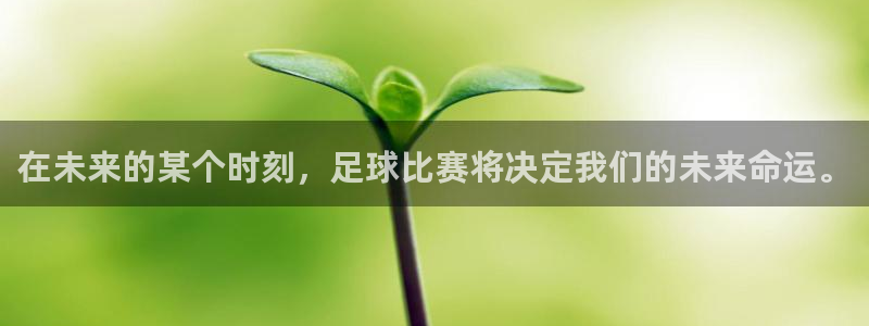 世界杯球队排名:在未来的某个时刻,足球比赛将决定我们的未来命运。