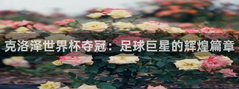世界杯足球直播:克洛泽世界杯夺冠:足球巨星的辉煌篇章