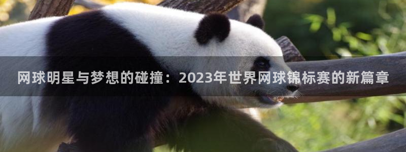 欧洲世界杯预选赛:网球明星与梦想的碰撞:2023年世界网球锦标赛的新篇章