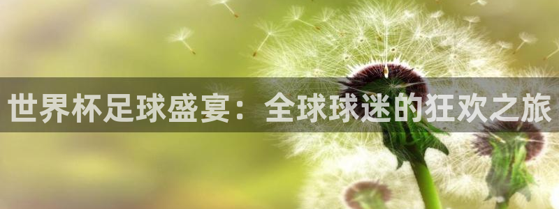 2026年世界杯赛程表时间:世界杯足球盛宴:全球球迷的狂欢之旅