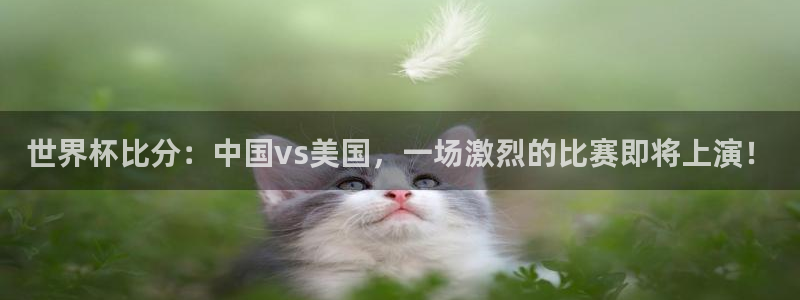 预选赛世界杯:世界杯比分:中国vs美国,一场激烈的比赛即将上演!