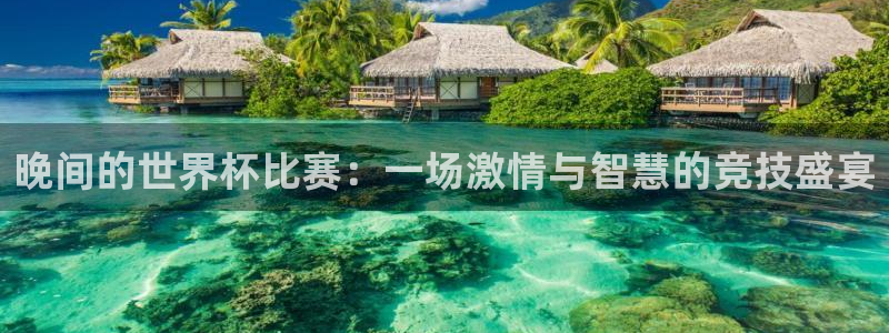 世界杯葡萄牙赛程:晚间的世界杯比赛:一场激情与智慧的竞技盛宴
