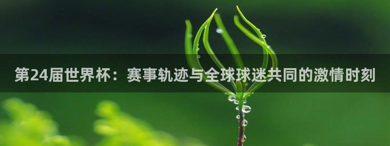 2026世界杯欧洲预选赛赛程表:第24届世界杯:赛事轨迹与全球球迷共同的激情时刻