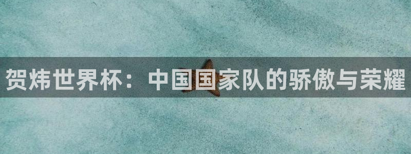 男足世界杯预选赛赛程:贺炜世界杯:中国国家队的骄傲与荣耀