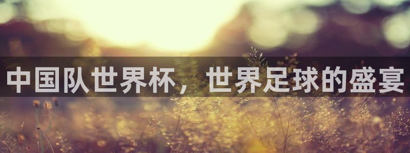 2026世界杯官网入口:中国队世界杯,世界足球的盛宴