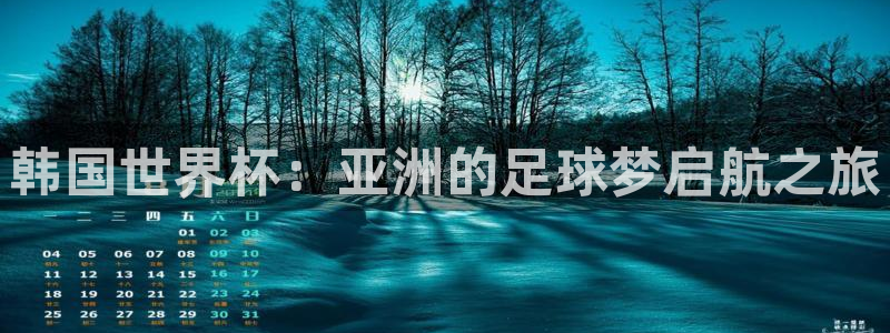 2026男足世界杯:韩国世界杯:亚洲的足球梦启航之旅