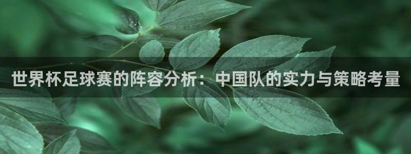 26世界杯:世界杯足球赛的阵容分析:中国队的实力与策略考量